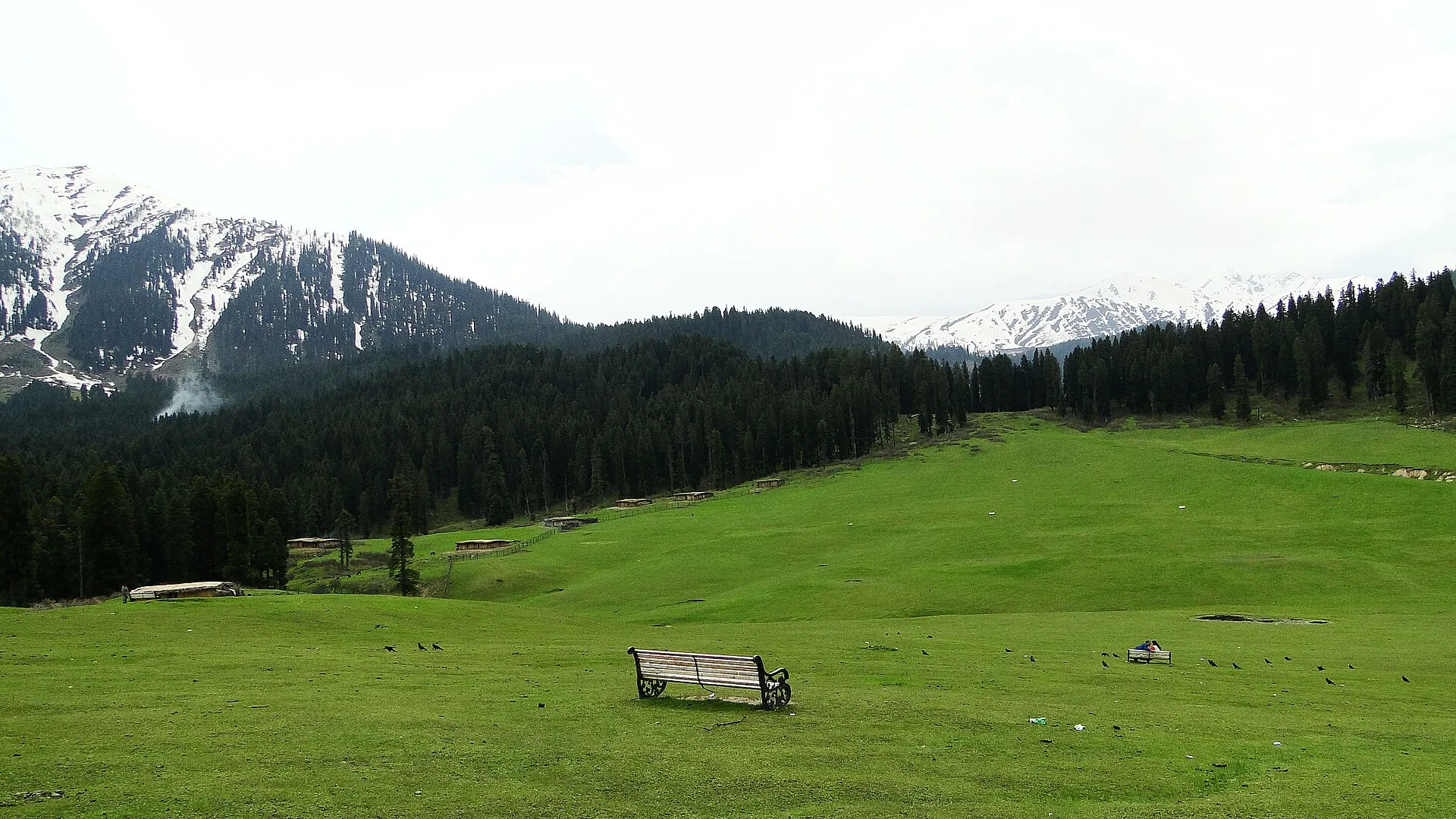 Green meadows of Doodhpathri