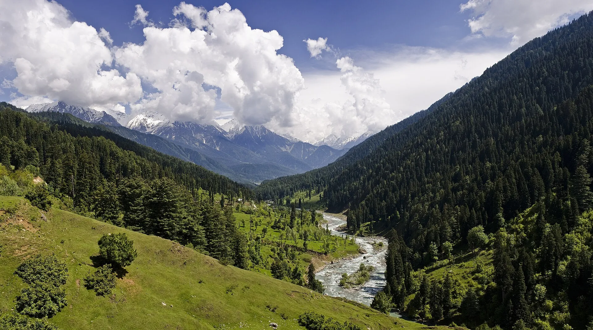 The green Pahalgam valley